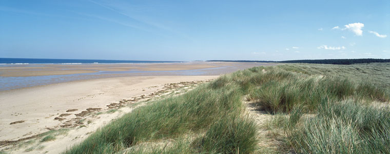 Nearby Holkham Beach