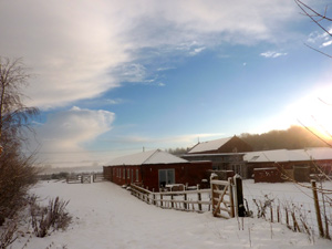 Cranmer-in-the-snow